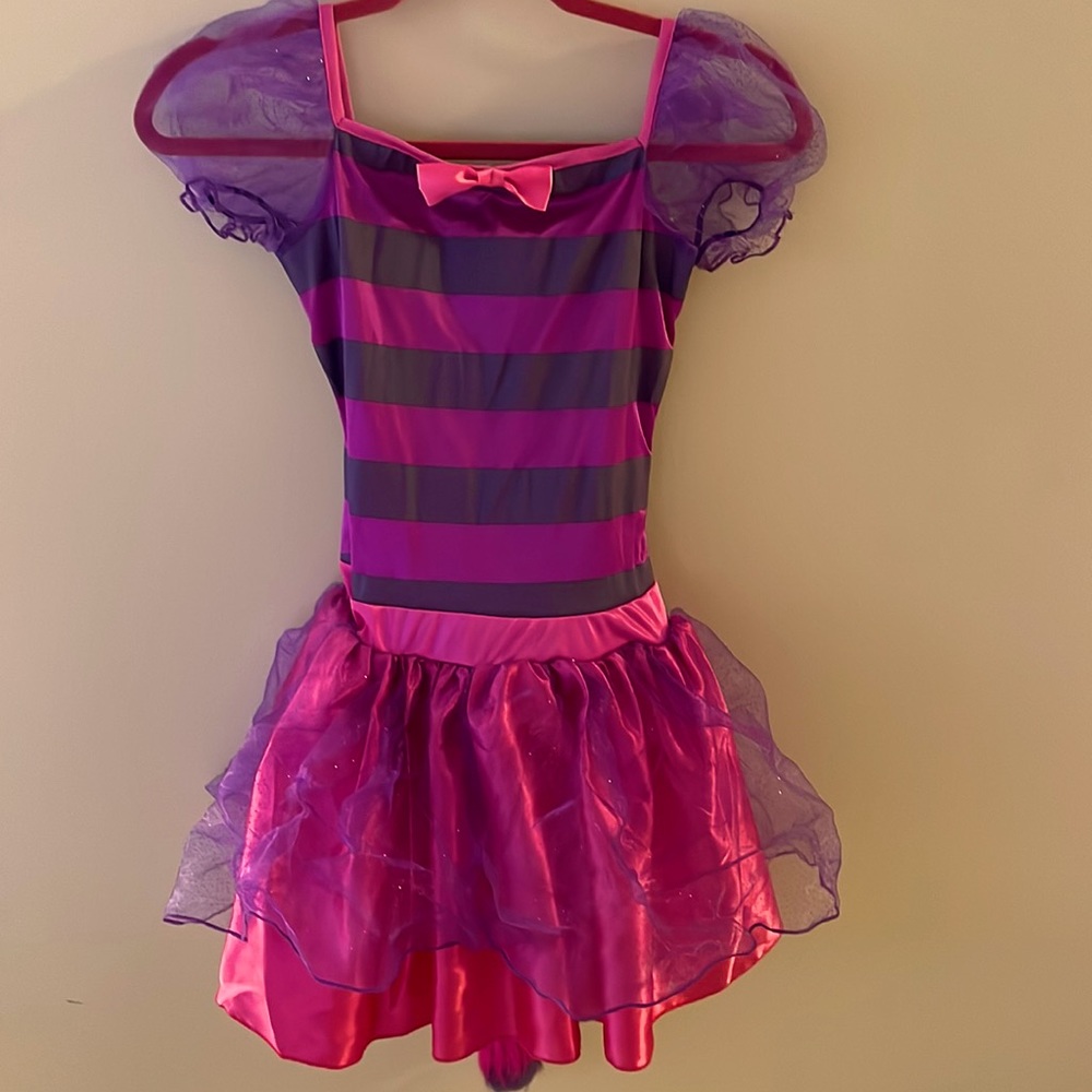 The Cheshire Cat costume from Alice adventures in wonderland
